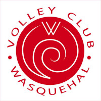 Logo du Wasquehal Volley Ball