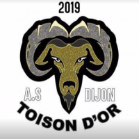 Logo du Association Sportive Dijon Toiso