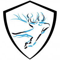 Logo du US la Ferte Handball