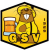 Logo du GS Vézelise