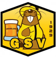 Logo du GS Vezelise 3