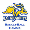 Logo du Basket Ball Hamois