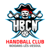 Logo du HBC Noidans