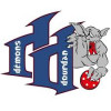Logo du Club de Roller In Line Hockey de Dourdan