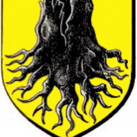 Logo du AS Holtzheim 2
