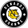 Logo du Les Renards - Roanne