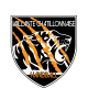 Logo Chatillon Vaillante Handball 2