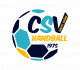 Logo CS Vesoul 70 Handball 3