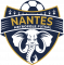 Logo Nantes Métropole Futsal