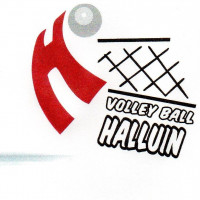 Logo du Volley Ball Halluin 3