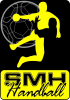 Logo du Stade Municipal Haytillon HB