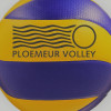 Logo du Ploemeur Volley