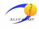 Logo du Amicale Laïque Irigny Vernaison Basket