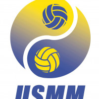 Logo du USM Montargis VB 2
