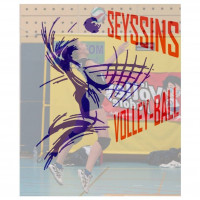 Logo du Seyssins Volley 4