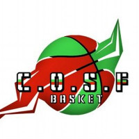 Logo du CO St Fons Basket
