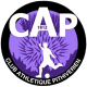 Logo CA Pithiviers 2