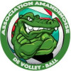 Logo du Association Amandinoise de Volley-Ball
