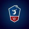 Logo du Volley-Club de Feignies