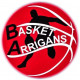 Logo Basket Arrigans 2