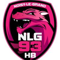 Logo du Noisy le Grand Handball 3