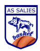 Logo du AS Salisienne