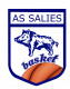 Logo AS Salisienne 2