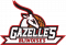 Logo Gazelles Blinoises 3