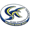 Logo du Club Sportif Cosnois