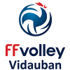 Logo du Vidauban Volley-Ball