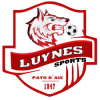 Logo du Luynes Sports