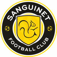 Logo du Sanguinet Football Club 2