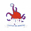 Logo du Sete Volley-Ball Club