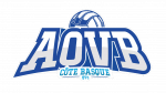 Logo du Anglet Olympique Volley Ball