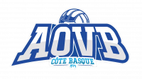Logo du Anglet Olympique Volley Ball 4