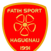 Logo du Fatih Sport Haguenau