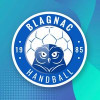 Logo du Blagnac Handball