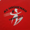Logo As Haguenau Handball