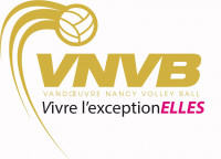 Logo du Vandoeuvre Nancy Volley-Ball