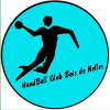 Logo du Handball Club Bois de Nèfles