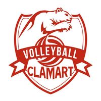 Logo du Clamart Volley 2