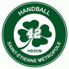 Logo du Handball St Etienne Métropole 42