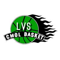 Logo du CM Orville Louvres Basket