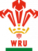Logo du Pays de Galles