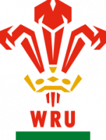 Logo du Pays de Galles