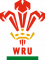 Logo Pays de Galles