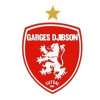 Logo du Garges Djibson Futsal