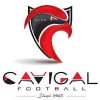 Logo du Cavigal Nice Sports Football