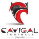 Logo Cavigal Nice Sports Football 2