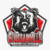 Logo du Handball Goussainville